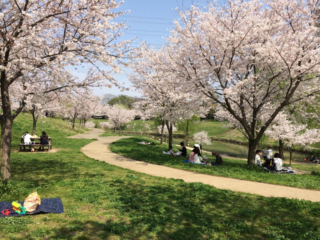 南平野公園